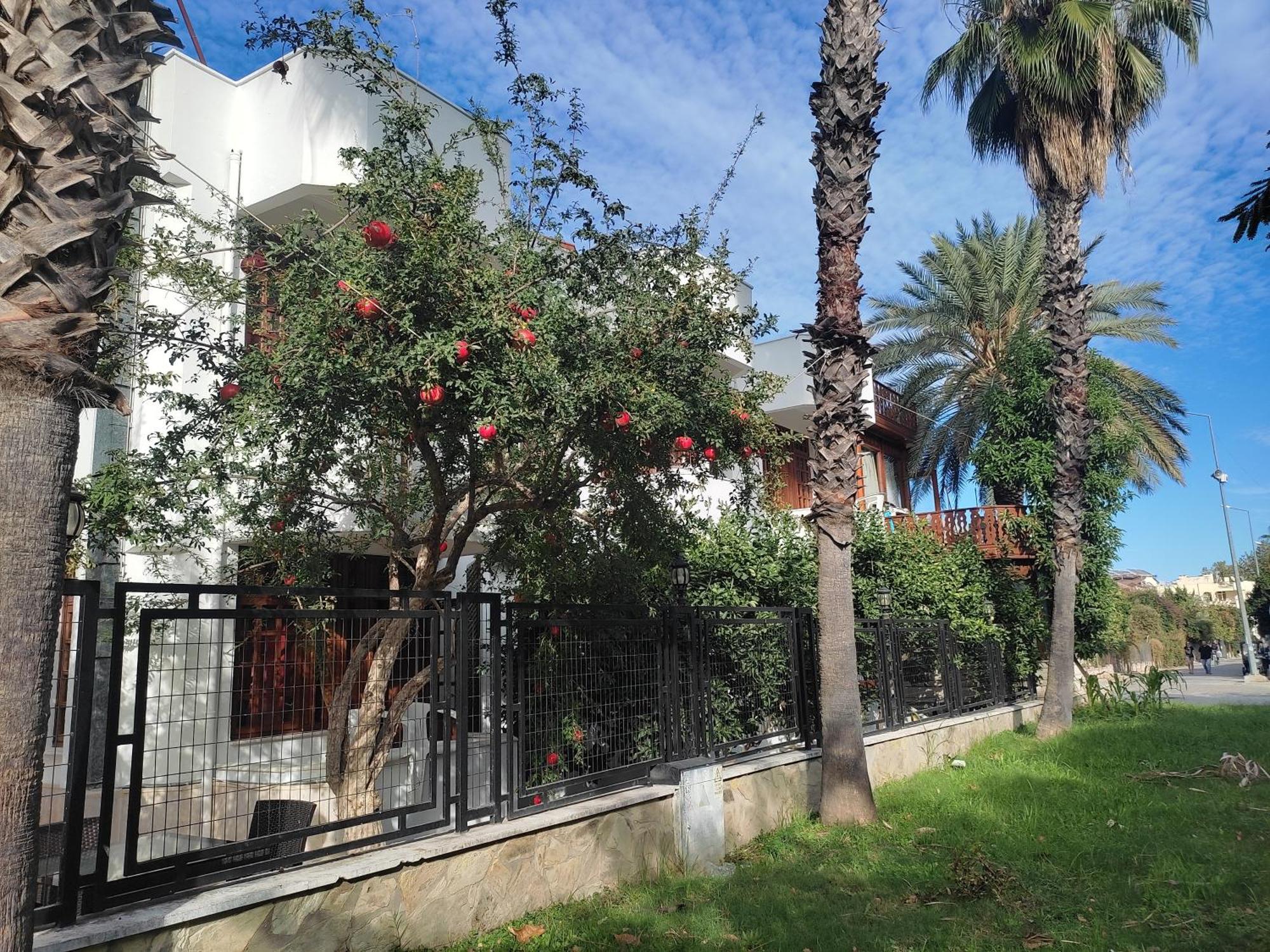 Garden Prizma Rooms&Aparts Kemer Pokój zdjęcie