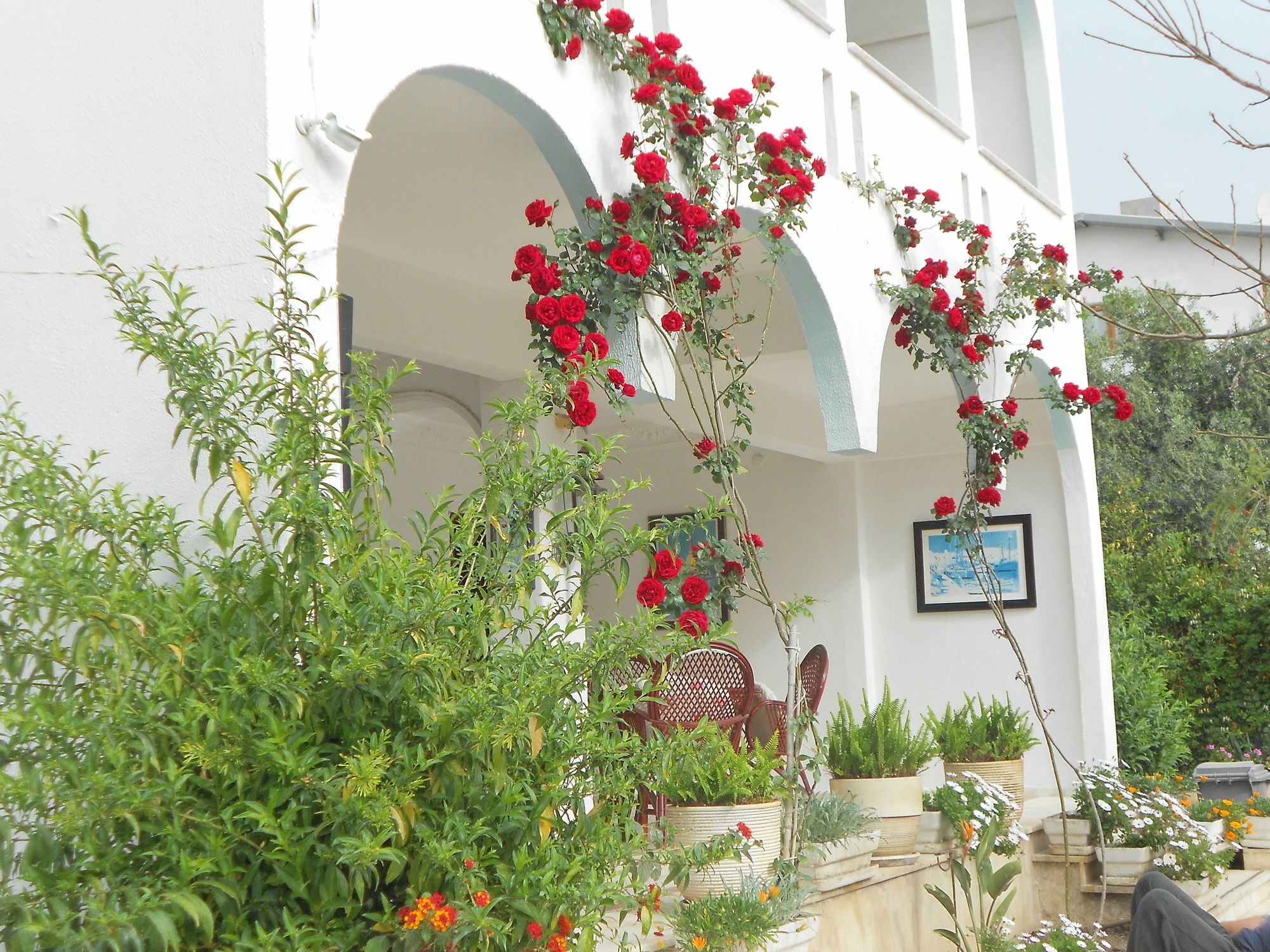 Garden Prizma Rooms&Aparts Kemer Zewnętrze zdjęcie